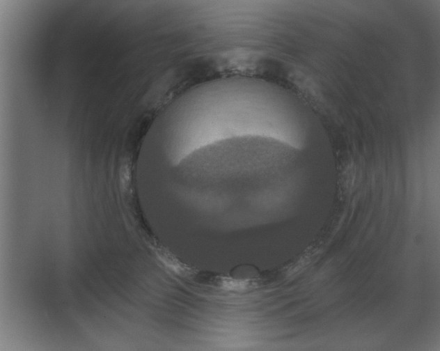 X0000070860709200606191316