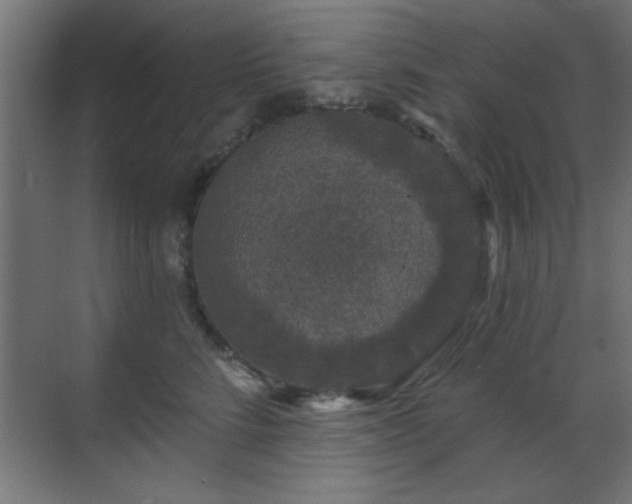 X0000070860712200606191316