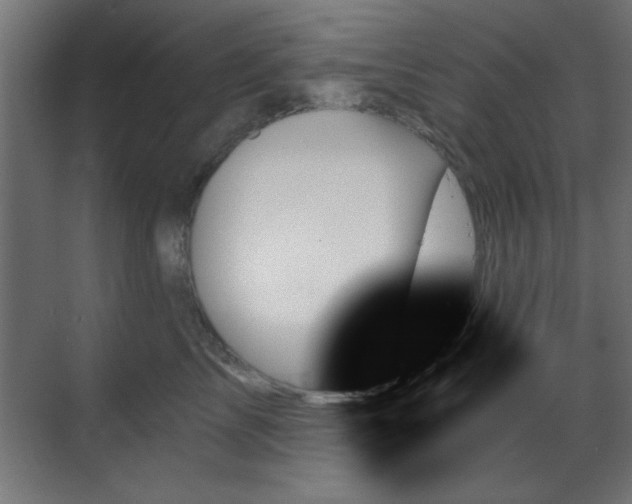X0000070860713200606191316