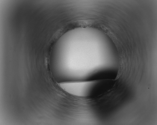 X0000070860716200606191316
