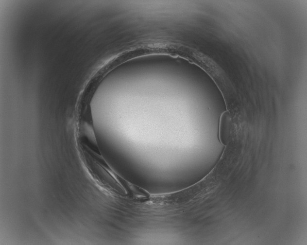 X0000070860728200606191316