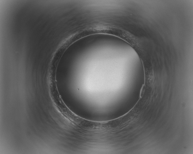 X0000070860732200606191316