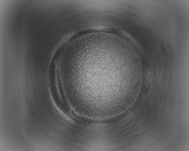 X0000070860734200606191316