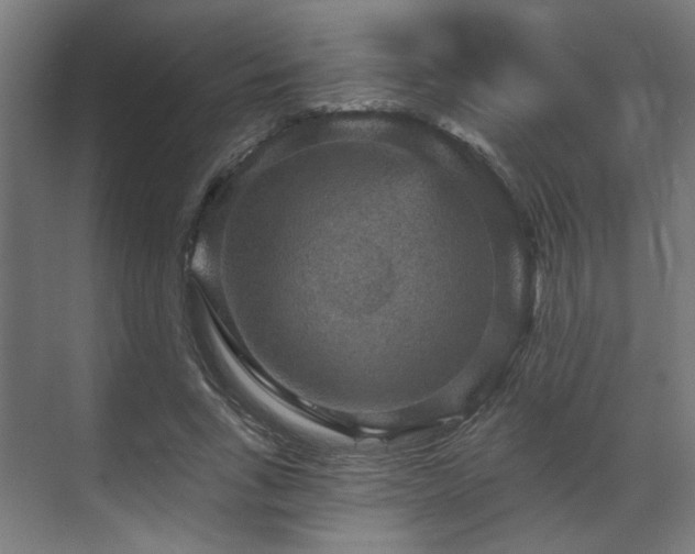 X0000070860735200606191316