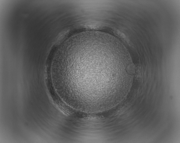 X0000070860738200606191316