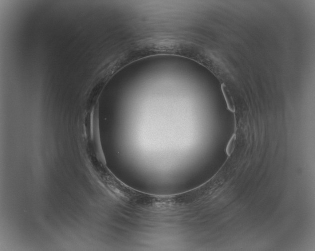 X0000070860744200606191316