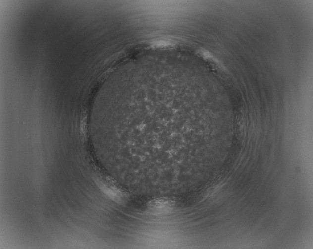 X0000070860745200606191316