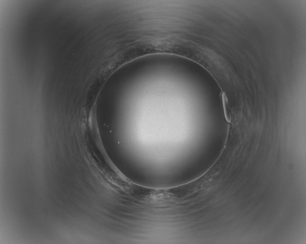 X0000070860752200606191316