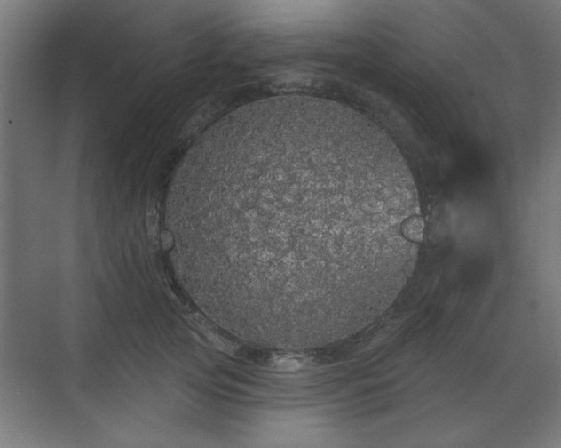 X0000070860753200606191316