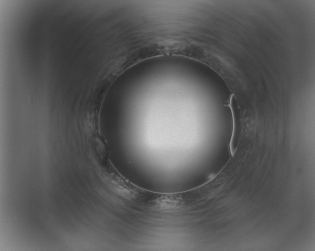 X0000070860756200606191316