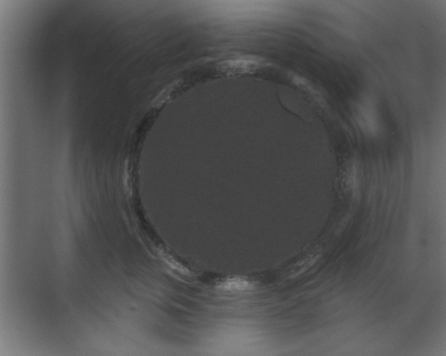 X0000070860759200606191316