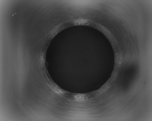 X0000070860761200606191316
