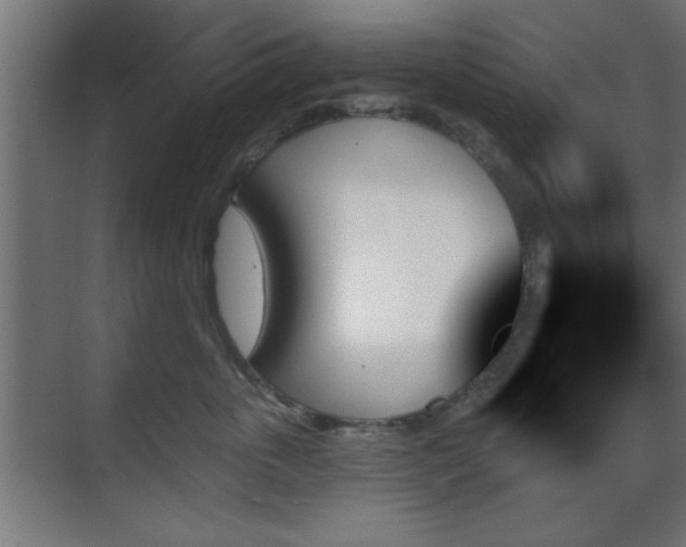 X0000070860763200606191316