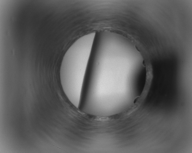 X0000070860767200606191316