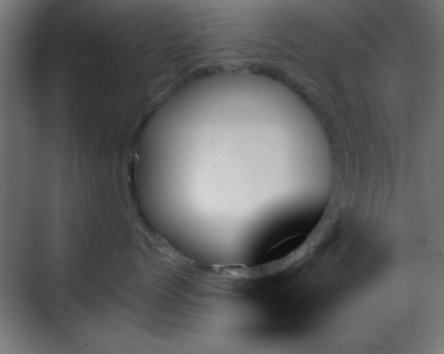 X0000070860768200606191316