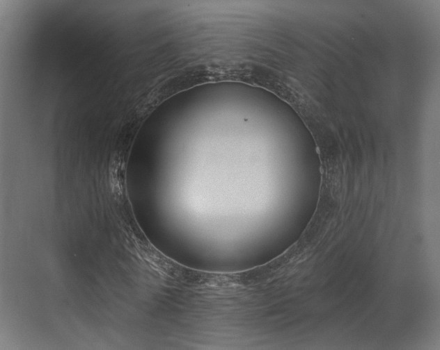 X0000070860770200606191315