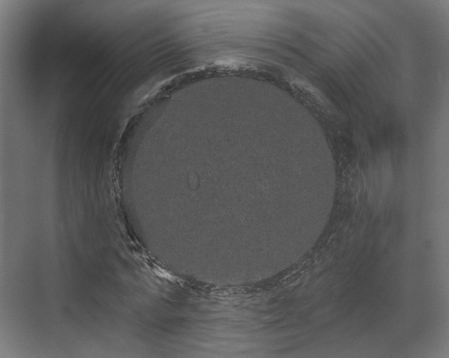 X0000070860776200606191315