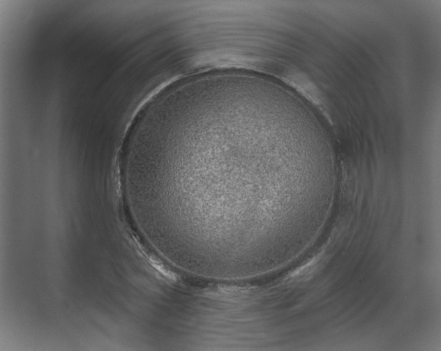 X0000070860782200606191315
