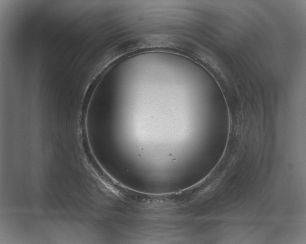 X0000070860786200606191315