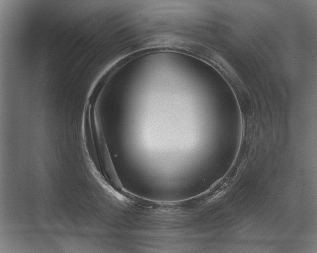 X0000070860788200606191315