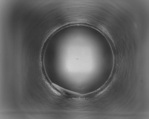 X0000070860789200606191315
