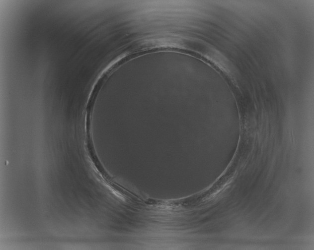 X0000070860790200606191315