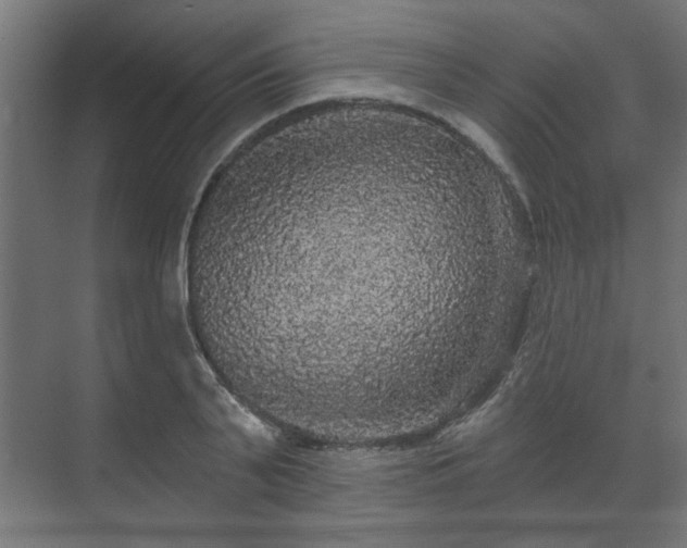 X0000070860791200606191315