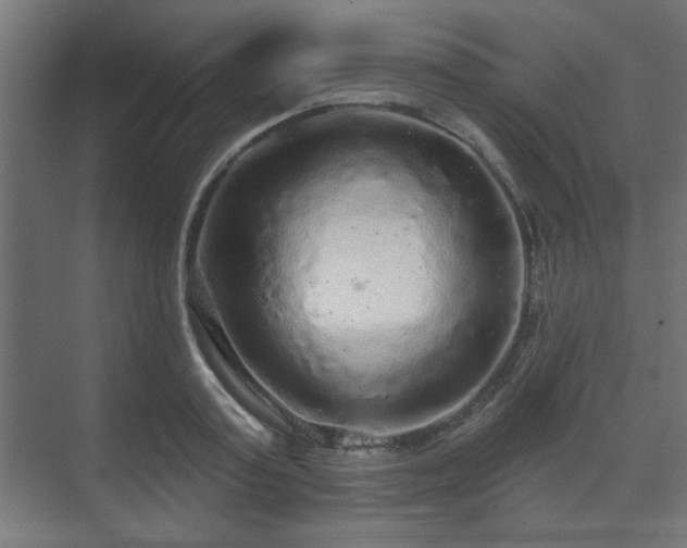 X0000070860795200606191315