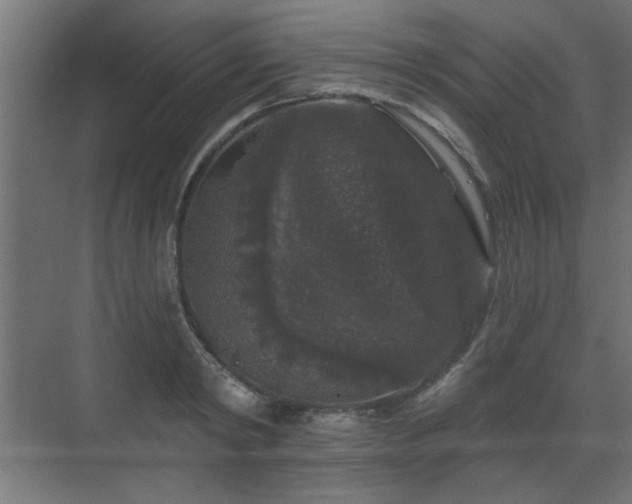 X0000070860798200606191315