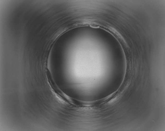 X0000070860801200606191315
