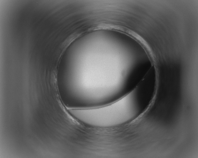 X0000070860809200606191315