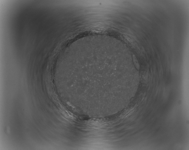 X0000070860817200606191314