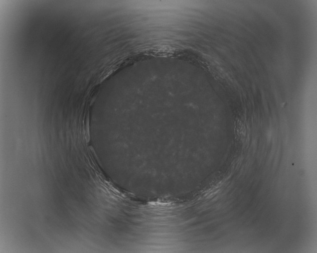 X0000070860818200606191314