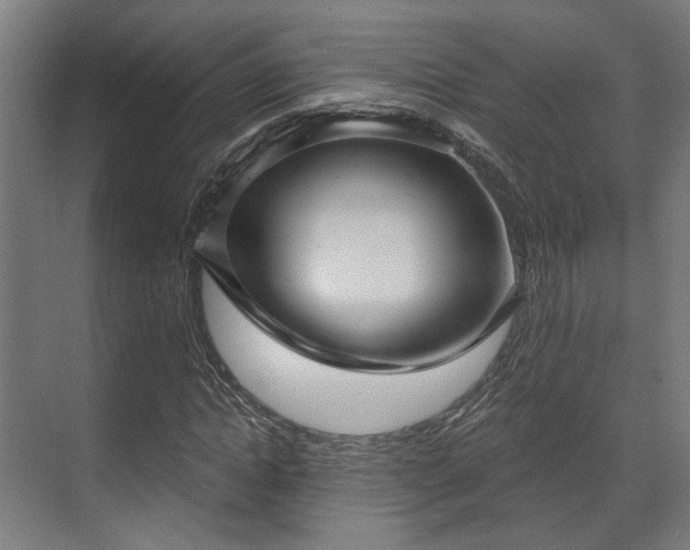 X0000070860822200606191314