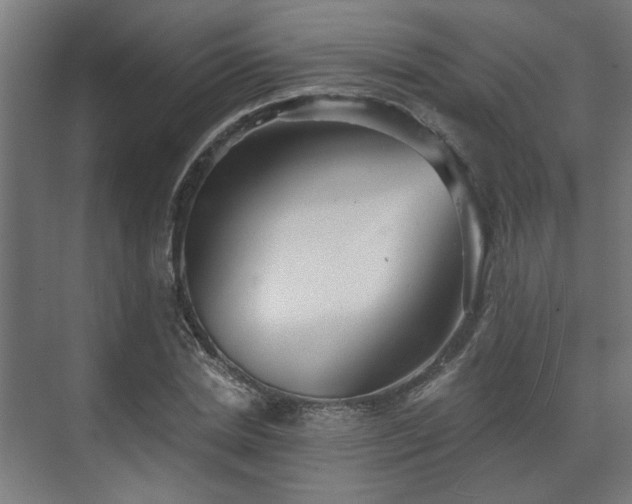 X0000070860830200606191314