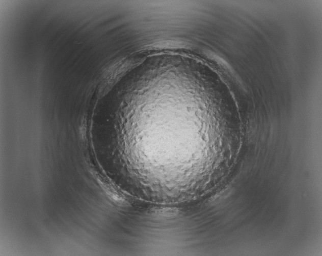 X0000070860833200606191314