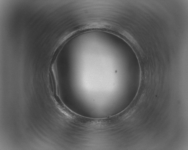 X0000070860834200606191314