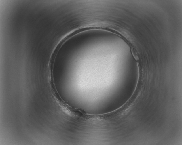 X0000070860838200606191314