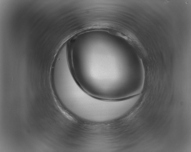 X0000070860842200606191314