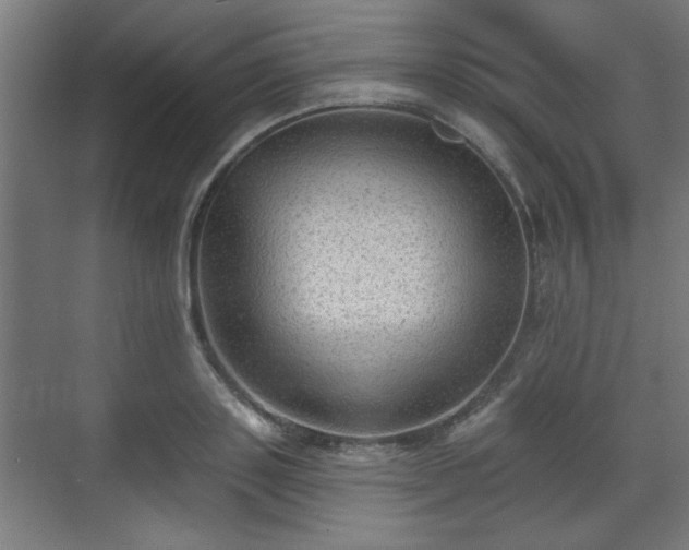 X0000070860843200606191314