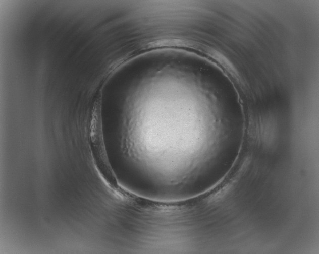 X0000070860849200606191314