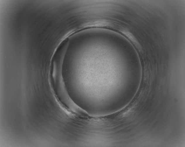 X0000070860850200606191314