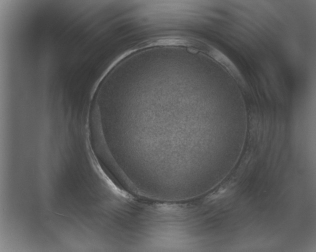 X0000070860852200606191314