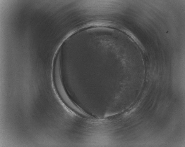 X0000070860853200606191314