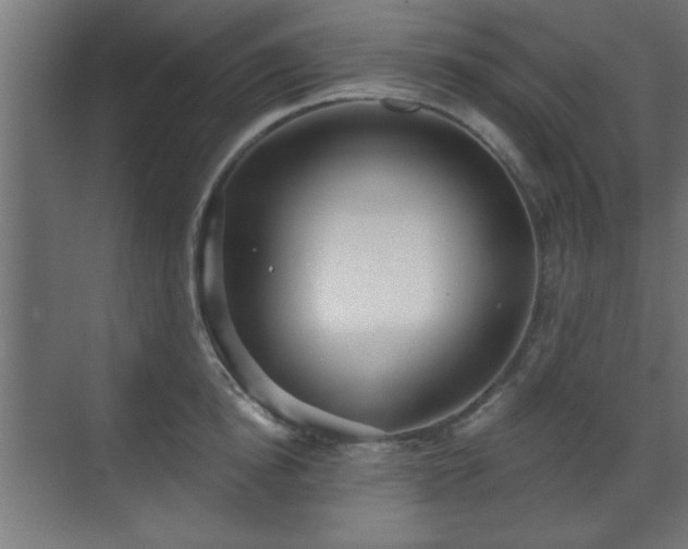X0000070860854200606191314