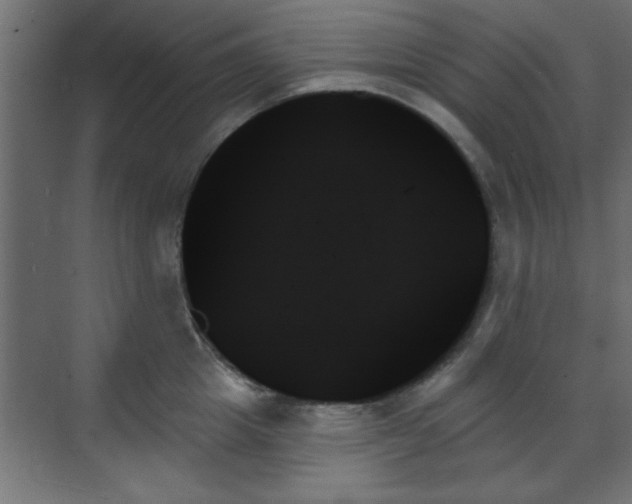 X0000070860857200606191314