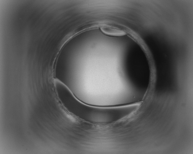 X0000070860858200606191314
