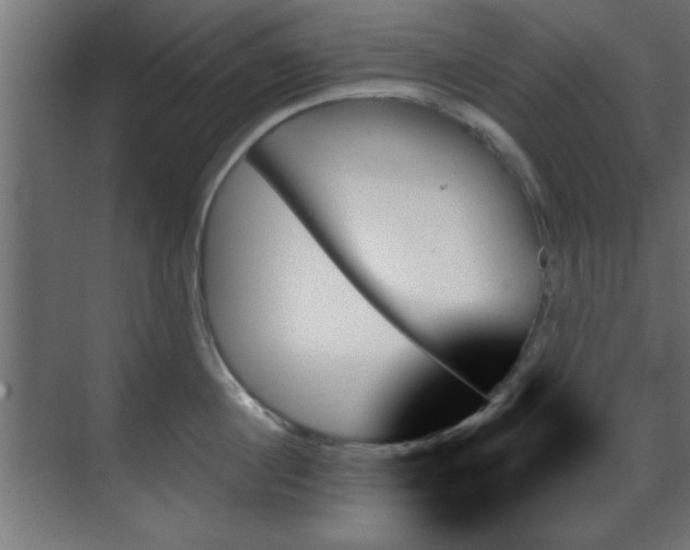 X0000070860860200606191314