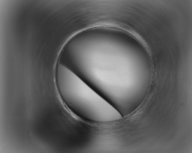 X0000070860862200606191315