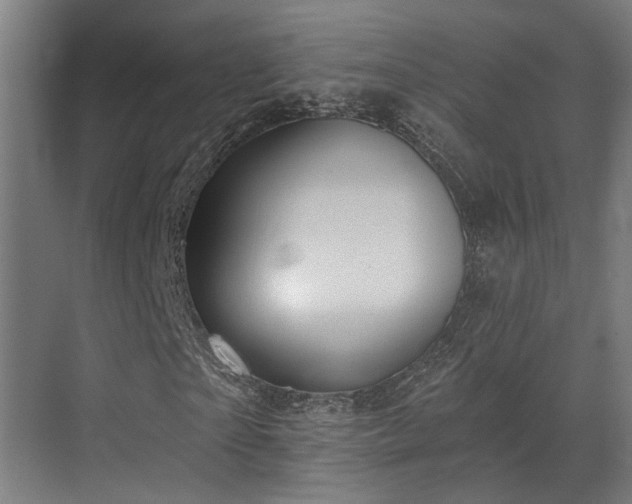X0000070860865200606191314